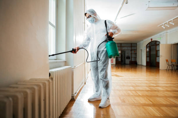 Emergency Pest Control Services in Walnutport, PA